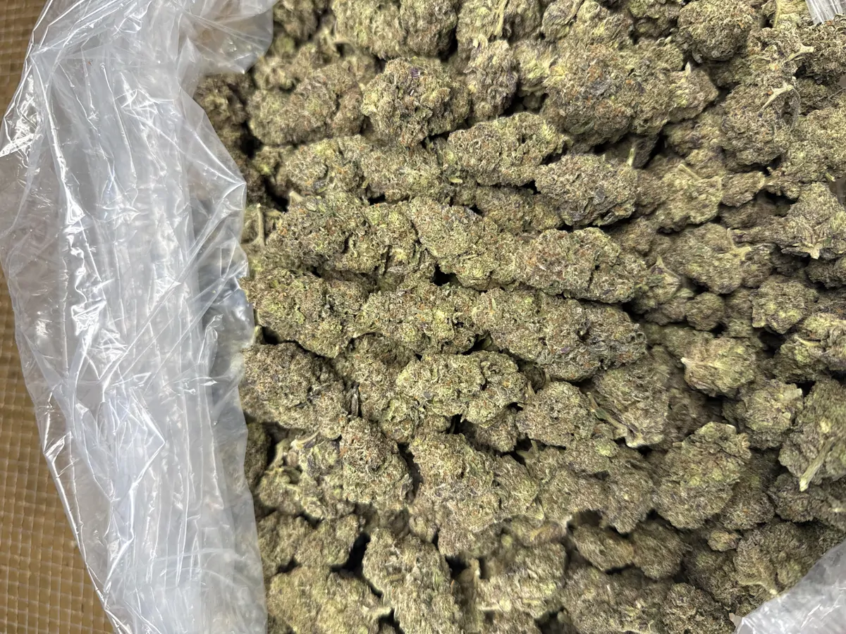 Lemon Cherry Gelato Flower